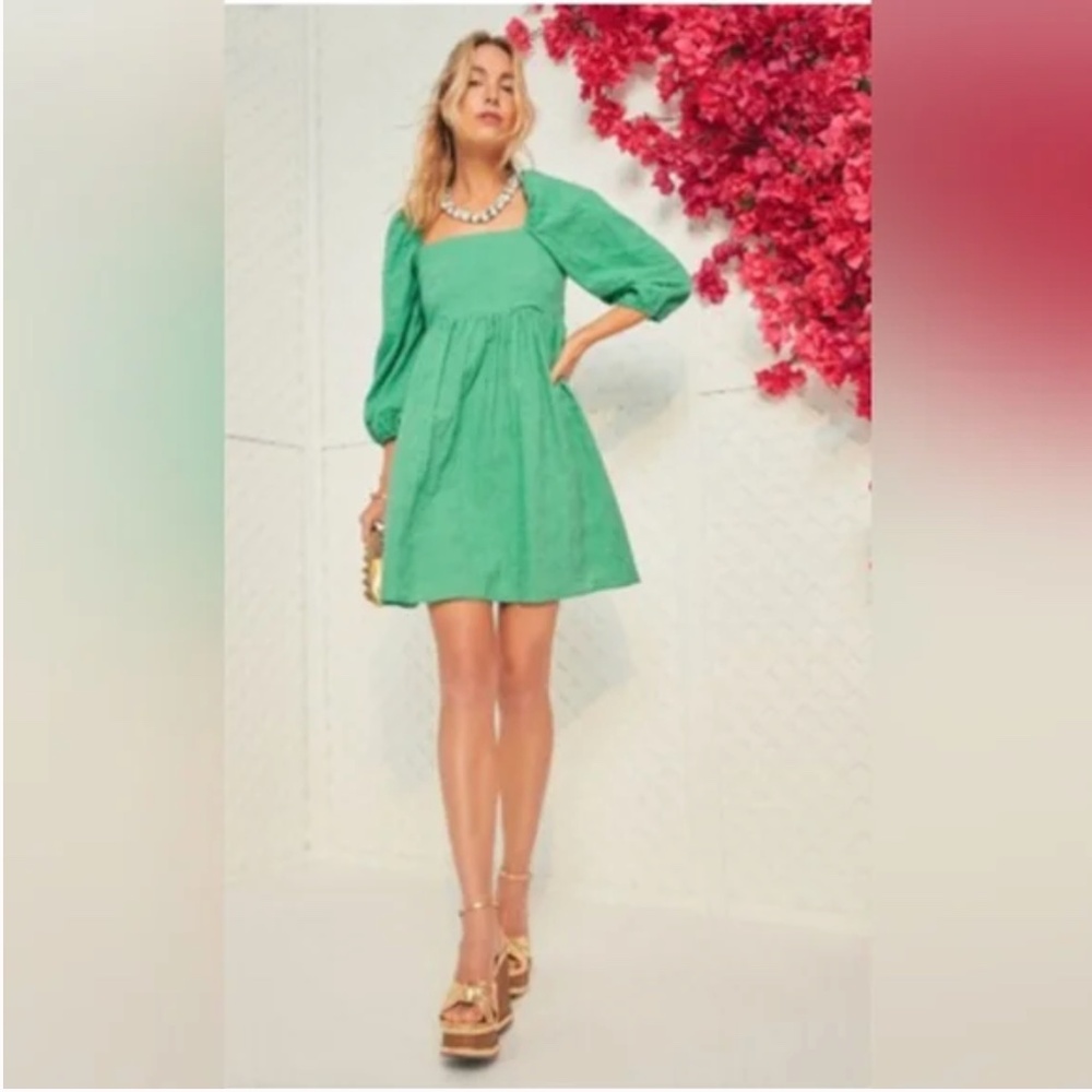 Tuckernuck--Green Eyelet Elizabeth Dress--M